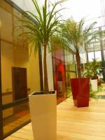 DA SILVA AUGUSTO - AD ARCHITECTE
